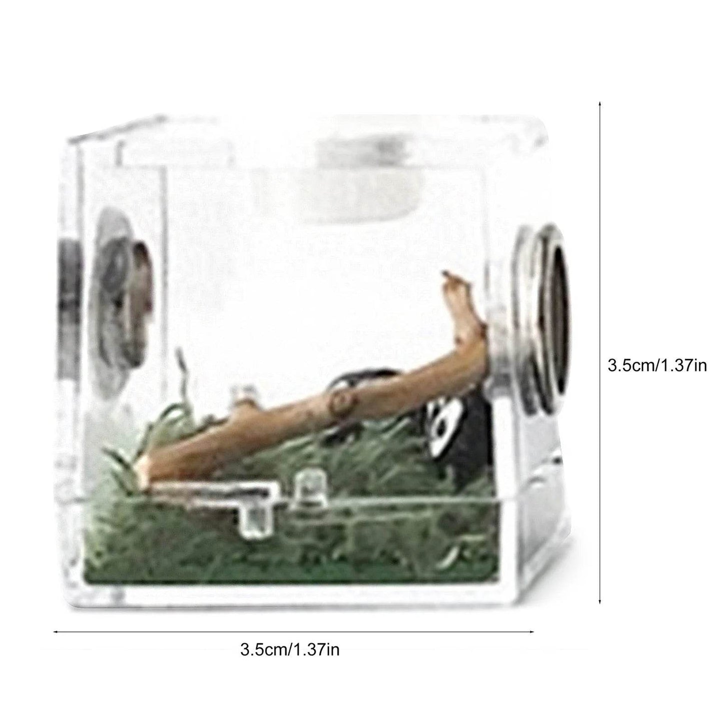 Boîte d'élevage de Reptiles, Cage en acrylique transparent, boîte d'alimentation pour insectes, réservoir de Terrarium anti-fuite pour araignée sautante, 3 tailles - Animaleriex