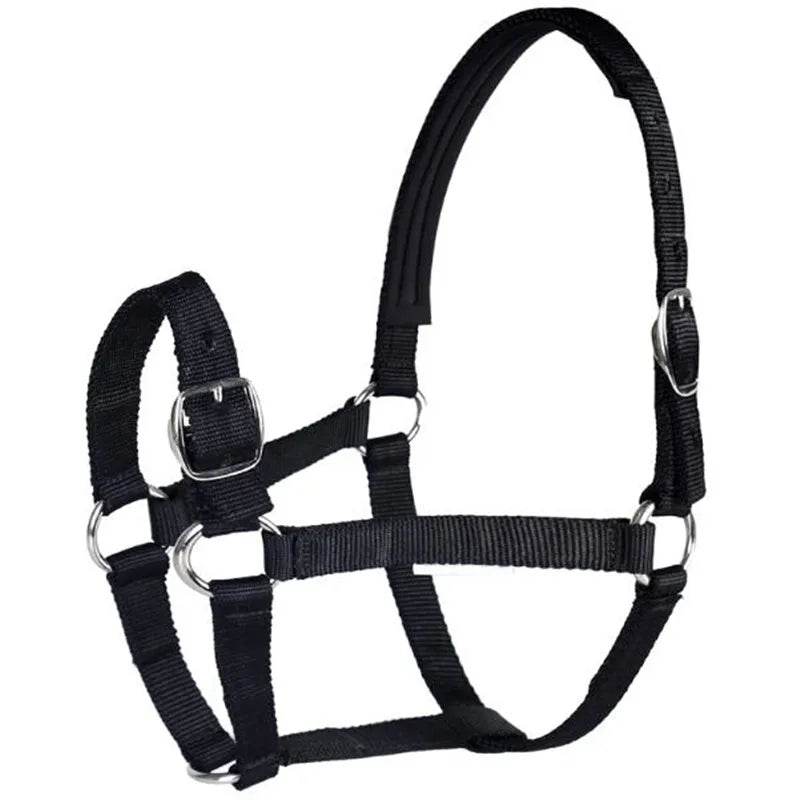 Cavassion usine directement vente Anti-friction protégeant la peau de cheval bride équitation Halter8218001 - Animaleriex