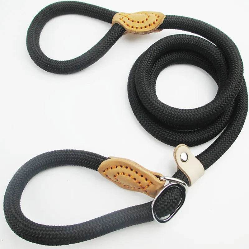 Laisse pour chien, corde coulissante, laisse en plomb, corde tressée robuste, collier à boucle réglable, laisse d'entraînement pour chiens de taille moyenne et grande - Animaleriex