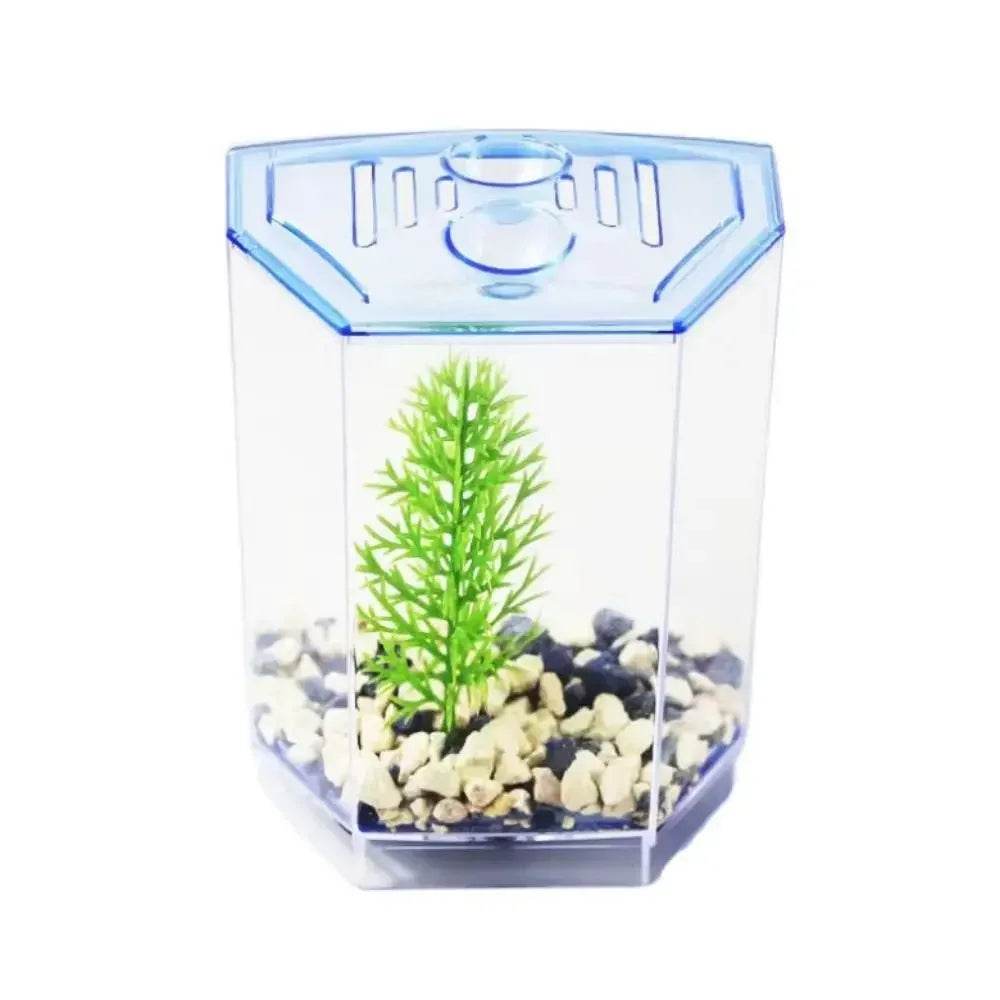 Aquarium Betta Transparent avec herbe aquatique, boîte d'isolation Betta en plastique à Double grille, grille simple et Double - Animaleriex
