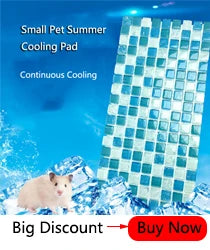 Professionnel Hamster lapin dents meulage pommier bâton minéraux molaire pierre jouets pour Chinchilla Hamster PetToys accessoires