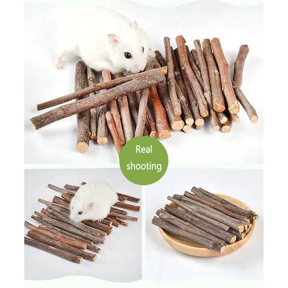 Professionnel Hamster lapin dents meulage pommier bâton minéraux molaire pierre jouets pour Chinchilla Hamster PetToys accessoires