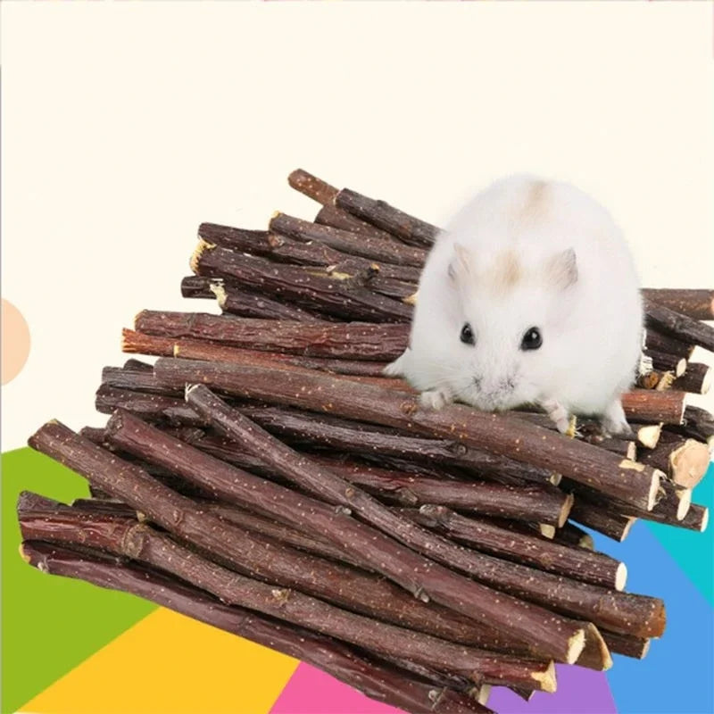 Professionnel Hamster lapin dents meulage pommier bâton minéraux molaire pierre jouets pour Chinchilla Hamster PetToys accessoires