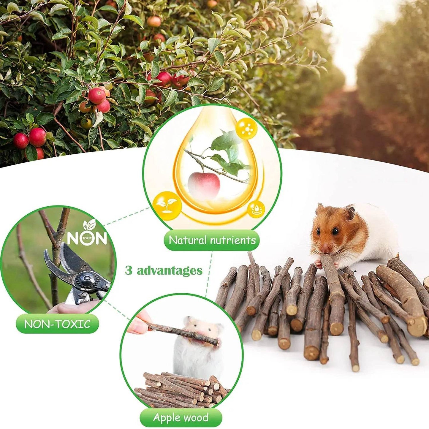 Ensemble de jouets pour Hamster, lapin et souris, ensemble de jouets pour animaux de compagnie, lapin, cochon d'inde, perroquet, fournitures de jeu en bois de lande - Animaleriex