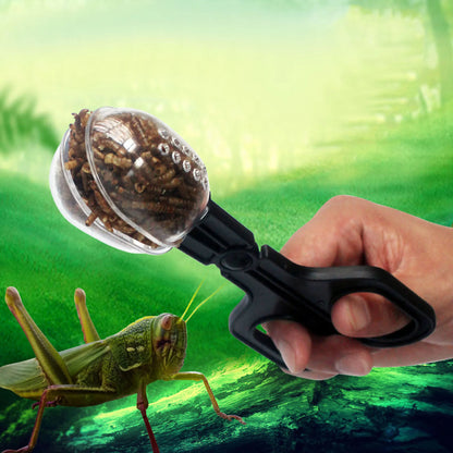 Reptile Terrarium lézards pinces en plastique pince à épiler outil d'alimentation pour animaux de compagnie pince enfants école plante insecte biologie outil d'étude