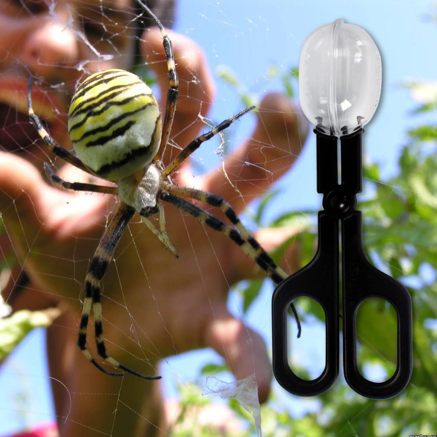 Reptile Terrarium lézards pinces en plastique pince à épiler outil d'alimentation pour animaux de compagnie pince enfants école plante insecte biologie outil d'étude