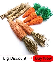 Professionnel Hamster lapin dents meulage pommier bâton minéraux molaire pierre jouets pour Chinchilla Hamster PetToys accessoires