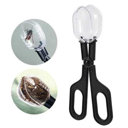 Reptile Terrarium lézards pinces en plastique pince à épiler outil d'alimentation pour animaux de compagnie pince enfants école plante insecte biologie outil d'étude