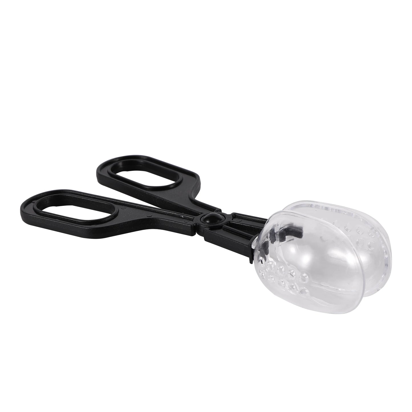 Reptile Terrarium lézards pinces en plastique pince à épiler outil d'alimentation pour animaux de compagnie pince enfants école plante insecte biologie outil d'étude