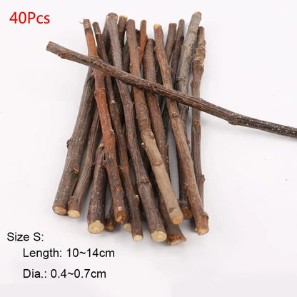 Professionnel Hamster lapin dents meulage pommier bâton minéraux molaire pierre jouets pour Chinchilla Hamster PetToys accessoires
