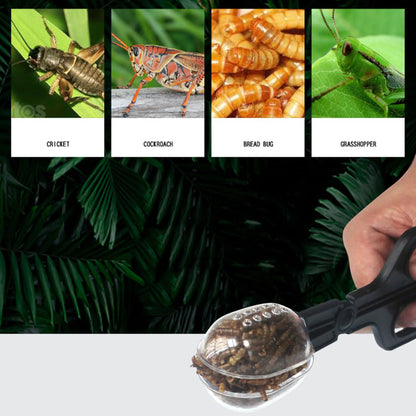 Reptile Terrarium lézards pinces en plastique pince à épiler outil d'alimentation pour animaux de compagnie pince enfants école plante insecte biologie outil d'étude