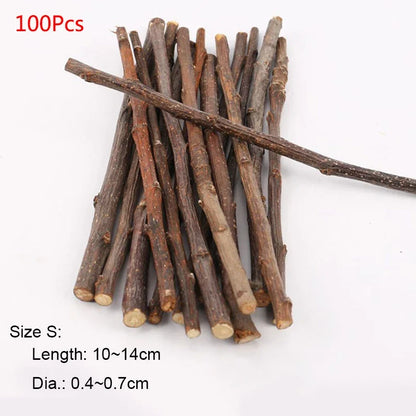Professionnel Hamster lapin dents meulage pommier bâton minéraux molaire pierre jouets pour Chinchilla Hamster PetToys accessoires